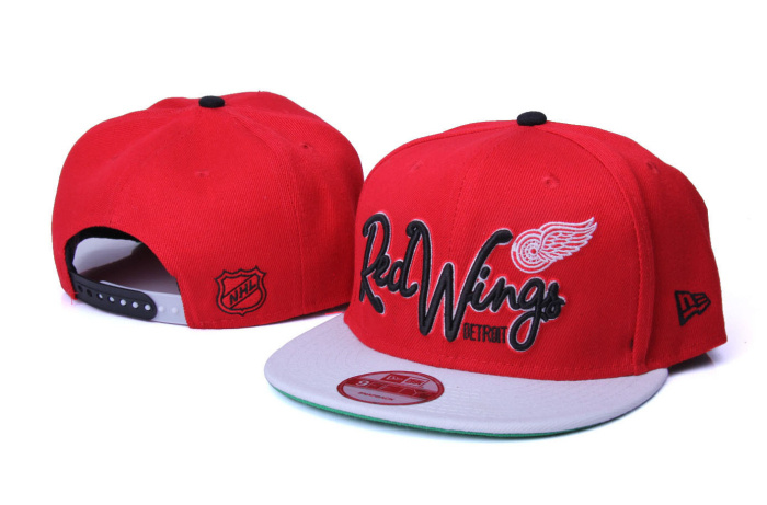 NHL Detroit Red Wings Hat id10